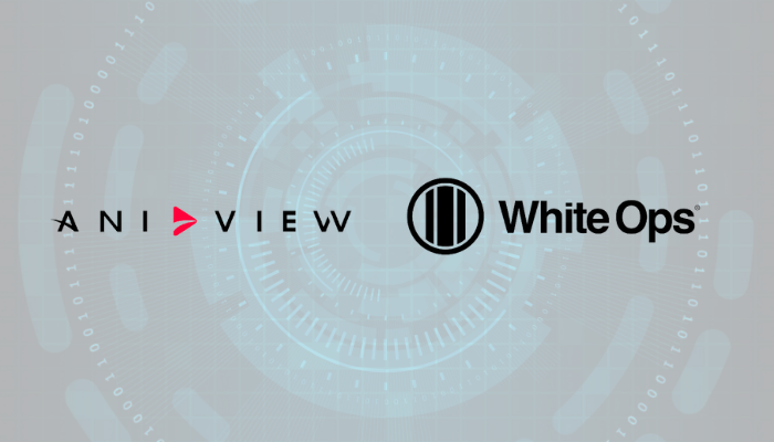 Video ad solutions Aniview team up with White Ops in providing ad inventory protection