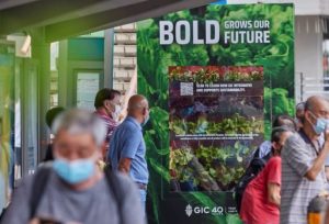 GIC turns bus stops into urban farms for 40th anniversary