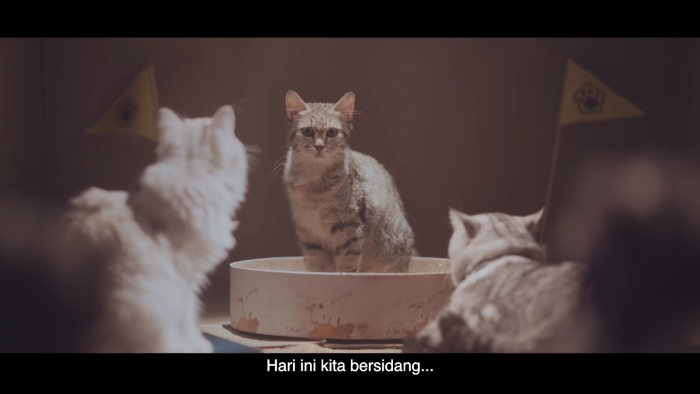 In this ad, cats mount an uprising against owners for proper seafood