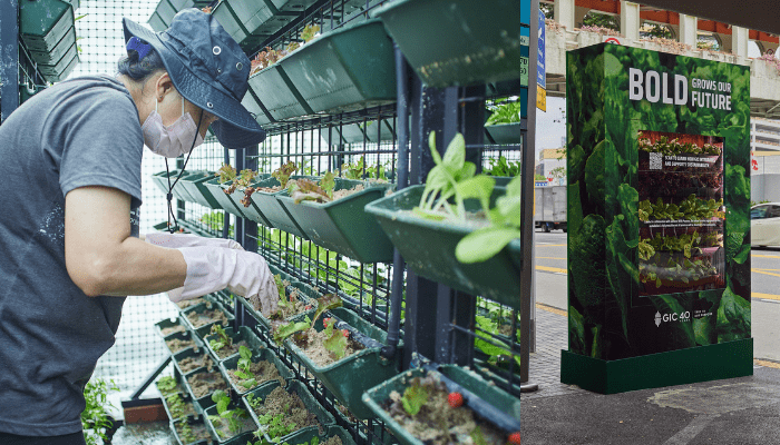 GIC turns bus stops into urban farms for 40th anniversary