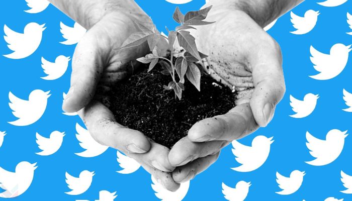 Twitter to prohibit misleading ads about climate change on platform