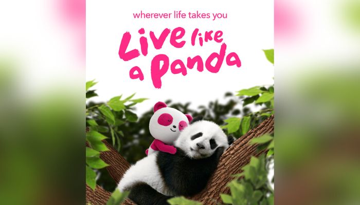 foodpanda’s anniversary celebration for Pau-Pau encourages people to ‘live like a panda’