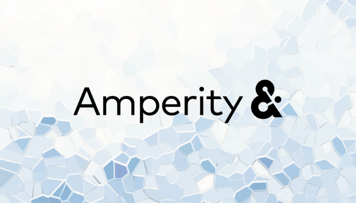 Amperity among recognised CPD leaders in Snowflake’s Modern Marketing Data Stack Report
