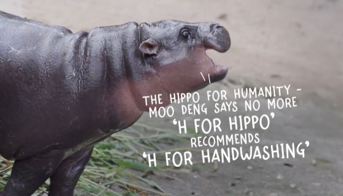 Lifebuoy’s new campaign enlists viral hippo Moo Deng to champion hand hygiene for kids worldwide