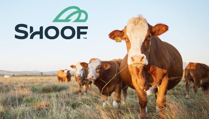 Shoof International names Tonic Communications as ANZ PR, brand partner
