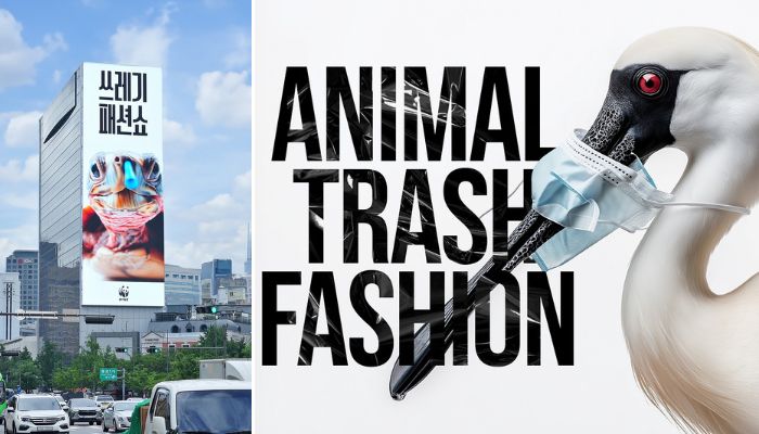 Sea turtles and seals model plastic waste in WWF’s generative AI ...