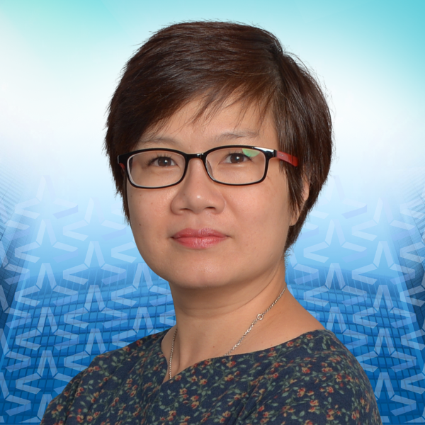 Hong Dan Nguyen