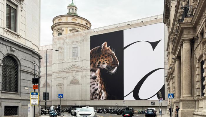 Cartier Panther WPP Media campaign main