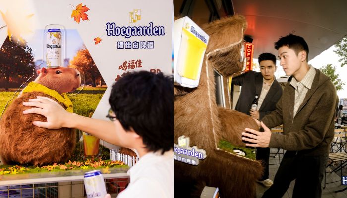 Capybarapy Campaign China