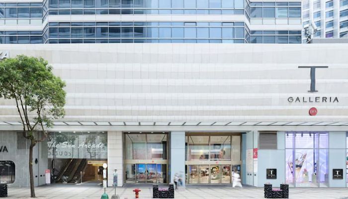 lvmh dfs hong kong ctg duty free purchase