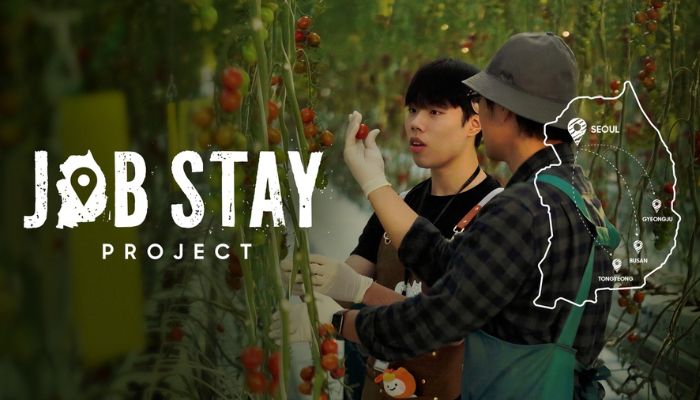 cheil Worxphere jobstay project